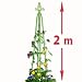 Garten Obelisk Rankhilfe ca. 2,00m spitz Kletters�ule Rankgitter Rosens�ule