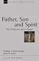 Father, Son and Spirit: The Trinity and John's Gospel (New Studies in Biblical Theology)