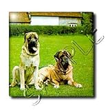 Dogs Mustiff - Mastiff - Tiles