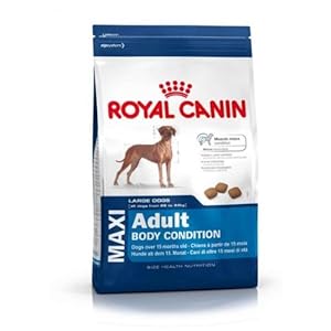Royal Canin Adult Maxi Body Condition 12kg