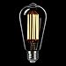 LightStory LED Decorative Bulb ST19, E26 Base 2200K Non-dimmable 4.5W/50W Clear LED Filament Bulb