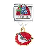Texas Mockingbird Italian Charms Bracelet Link