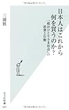 日本人はこれから何を買うのか? 「超おひとりさま社会」の消費と行動 (光文社新書)
