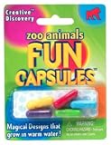 Fun Capsules - Zoo Animals