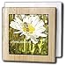 Daisy and Bee Plant Seeds of Joy- Flowers- Floral Art - 6 Inch Tile Napkin Holder