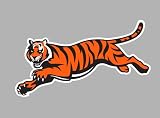 Cincinnati Bengals Auto Car Bumper Decal Sticker 4.25 X 7.5