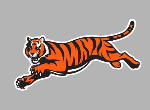 Cincinnati Bengals Auto Car Bumper Decal Sticker 4.25 X 7.5