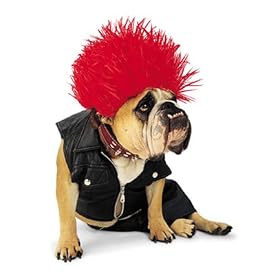 Paper Magic Group Zelda Punk Dog Pet Costume
