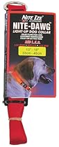 LED Nylon Night Safety Dog Collar by Nite Ize - Red - Medium