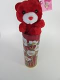 Mothers Day Gift COOKIE AND CANDY CANISTER Red Tin with White Flowers & a Small Red Teddy Bear
