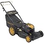 Poulan Pro PR625Y22RKP 22-inch 625 Series Briggs & Stratton Gas-Powered FWD Self-Propelled Lawn Mower with Electric Start And High Rear Wheels
