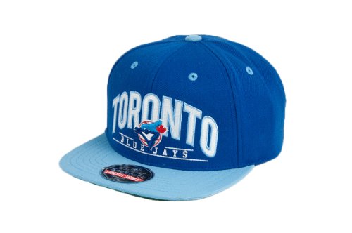 MLB Men's Toronto Blue Jays Arched Snapback Cap (Royal/Light Blue, Adjustable)