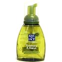 Liquid Foaming Soap Rosmary & Melon - 8.75 oz - Liquid