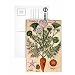 Carrot, 1984 (ink & w/c on paper) by Sophie Grandval - Postcard (Pack of 8) - 6x4 inch - Art247 Highest Quality - Standard Size - Pack Of 8