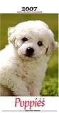 山渓ミニカレンダー子犬 2007 (2007)