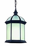 Trans Globe Lighting PL-4183 BK Black Outdoor Hanging Light [並行輸入品]