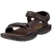 Teva Women's Pretty Rugged Leather 2 Sandal