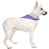 NCAA Kansas Jayhawks Large Pet Collar Bandana