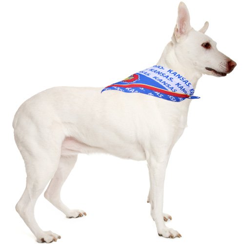 Kansas Jayhawks Large Pet Collar Bandana
