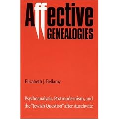 Affective Genealogies: Psychoanalysis, Postmodernism and the Jewish Question After Auschwitz (Texts and Contexts)