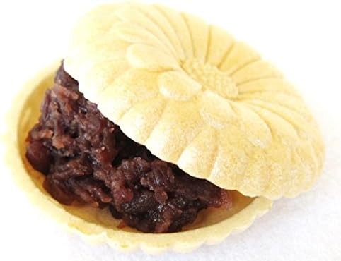 10 pairs skin during pioneer planning (20 sheets)