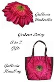 Gerbera Daisy Matching Umbrella and Handbag Set