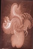 Produkt-Bild: Vertigo Tarot Book Only