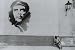 Che Guevara - Personality Poster (Che Painted On A Wall) (Size: 31