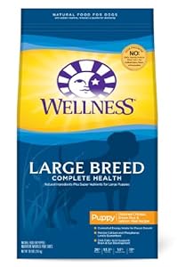 Wellness Large Breed Compelte Health Puppy Recipe, 30-Pound Bag