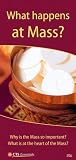 What happens at Mass? : Why is the Mass so important? What is at the heart of the Mass?