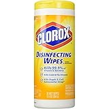 Clorox Disinfecting Wipes 35 ea