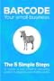 Barcode Your Small Business - Learn the 5 simple steps to create a cost effective barcoding system to organize your small business (inFlow Inventory)