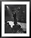 Can Can Dancer Held Up in the Air by a Performing Gentleman at the Paris Show Framed Art Poster Print by Nat Farbman, 25x31