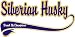 Siberian Husky Breed of Champion Apron