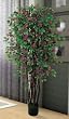 6' Bougainvillea Silk Tree