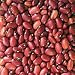 Organic Cherokee Wax Snap Bush Bean 70 Seeds
