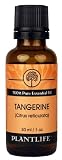 Tangerine 100% Pure Essential Oil - 30 ml