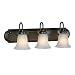 Golden Lighting 5221-3 ORB 24-Inch W by 9-Inch H by 8-Inch E Brookfield Three Light Vanity, Oil Rubbed Bronze Finish