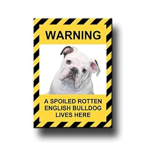 English Bulldog Spoiled Rotten Fridge Magnet No 3