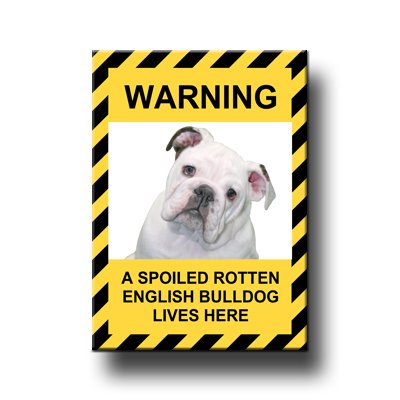 English Bulldog Spoiled Rotten Fridge Magnet No 3