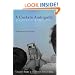 A Certain Ambiguity: A Mathematical Novel