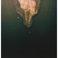 Civilian [Vinyl LP]