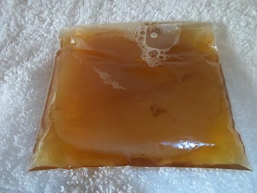 Poseymom Party Kombucha Tea Scobys 10 Pack