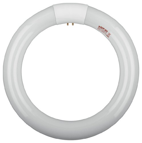 Wentronic Ersatz-Leuchtstoffring f&uuml;r Lupenleuchte 210mm/22Watt