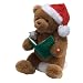 Storytime Christmas Bear 16.5