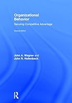 Organizational Behavior: Securing Competitive Advantage Organizational Behavior: Securing Competitive Advantage