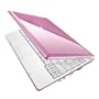 Samsung NC10-13P Netbook - Up to 6 Hours of Battery Life