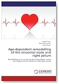 Age-dependent remodelling of the sinoatrial node and right atrium: Remodelling of ion channels and extracellular matrix are responsible for sinoatrial node dysfunction