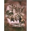 ALASKA FAVORITES Queen Korean Mink Blanket