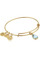 Alex and Ani Charity By Design Living Water International Bangle Bracelet